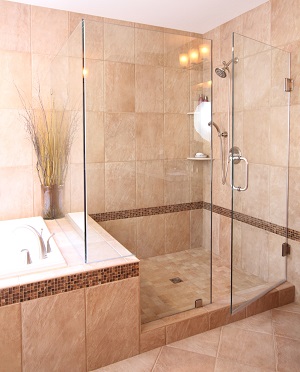 frameless glass shower Frameless glass shower