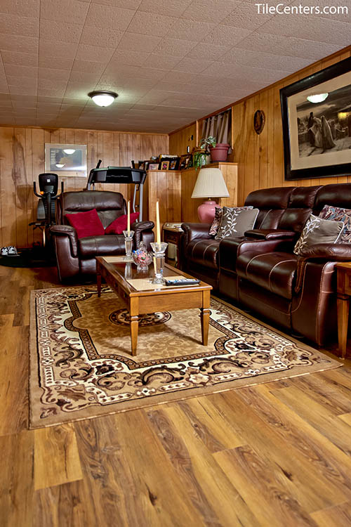 Den remodel ideas