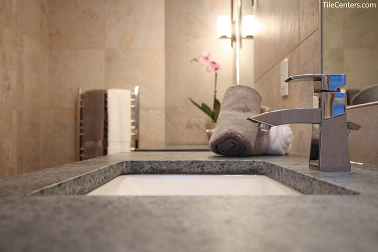 Bathroom Sink and Faucet Up Close